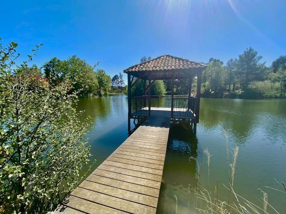 Les Restanques Cabriere 3123 Vue Mer 3 Chambres Grimaud Esterno foto